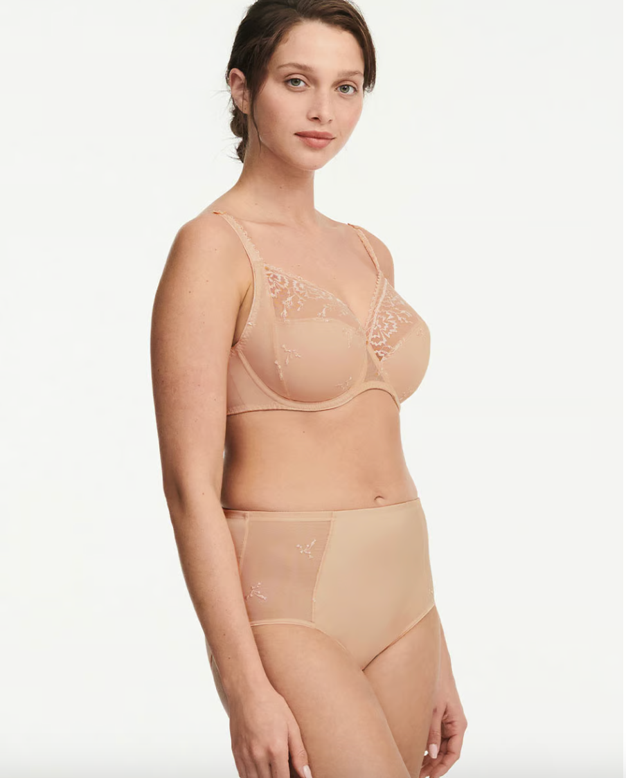 Chantelle Every Curve Lace Full Coverage Unlined Bra #C16B1